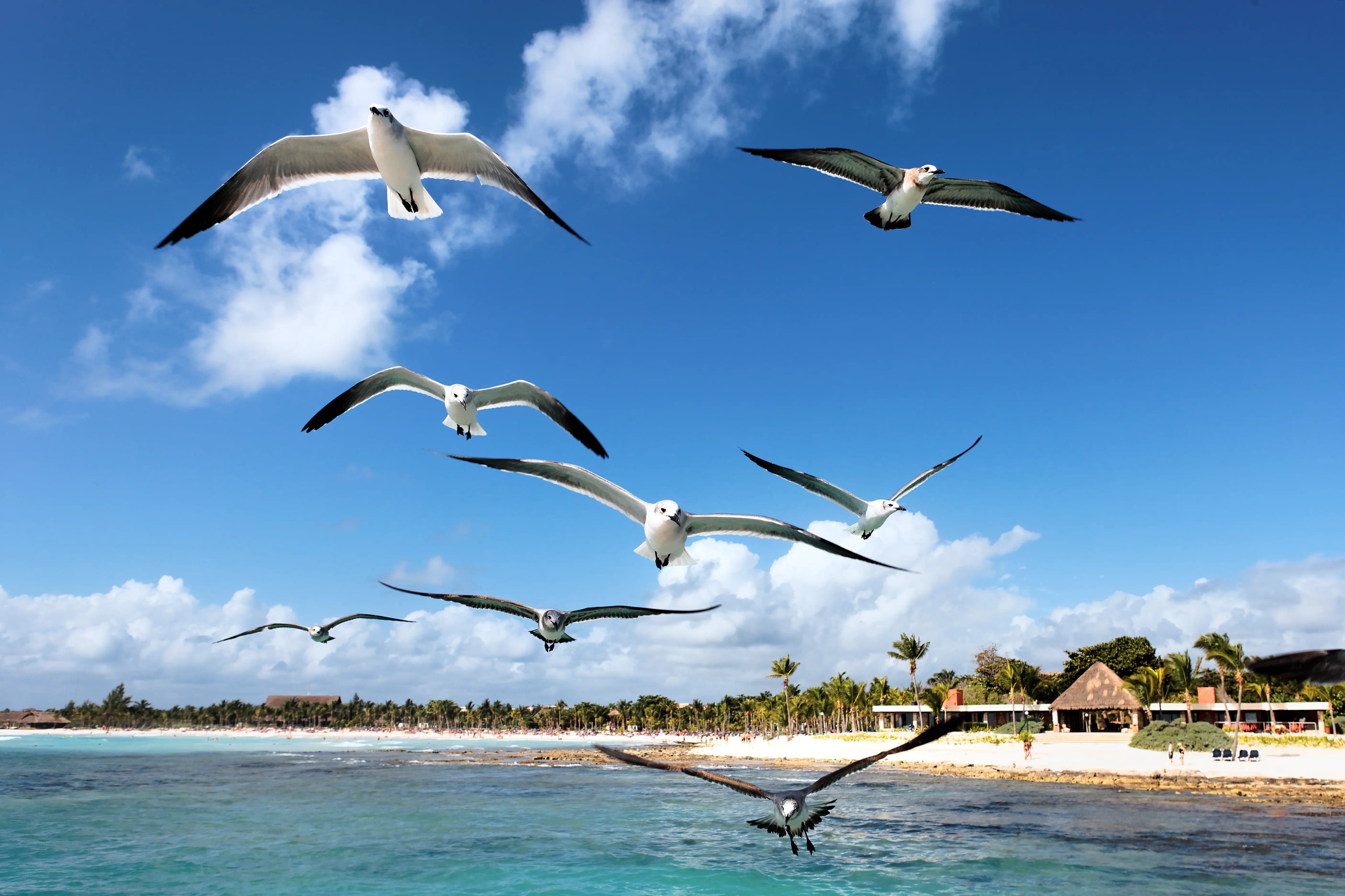 Birdwatching Tour - 7 Days tour in Kenya
