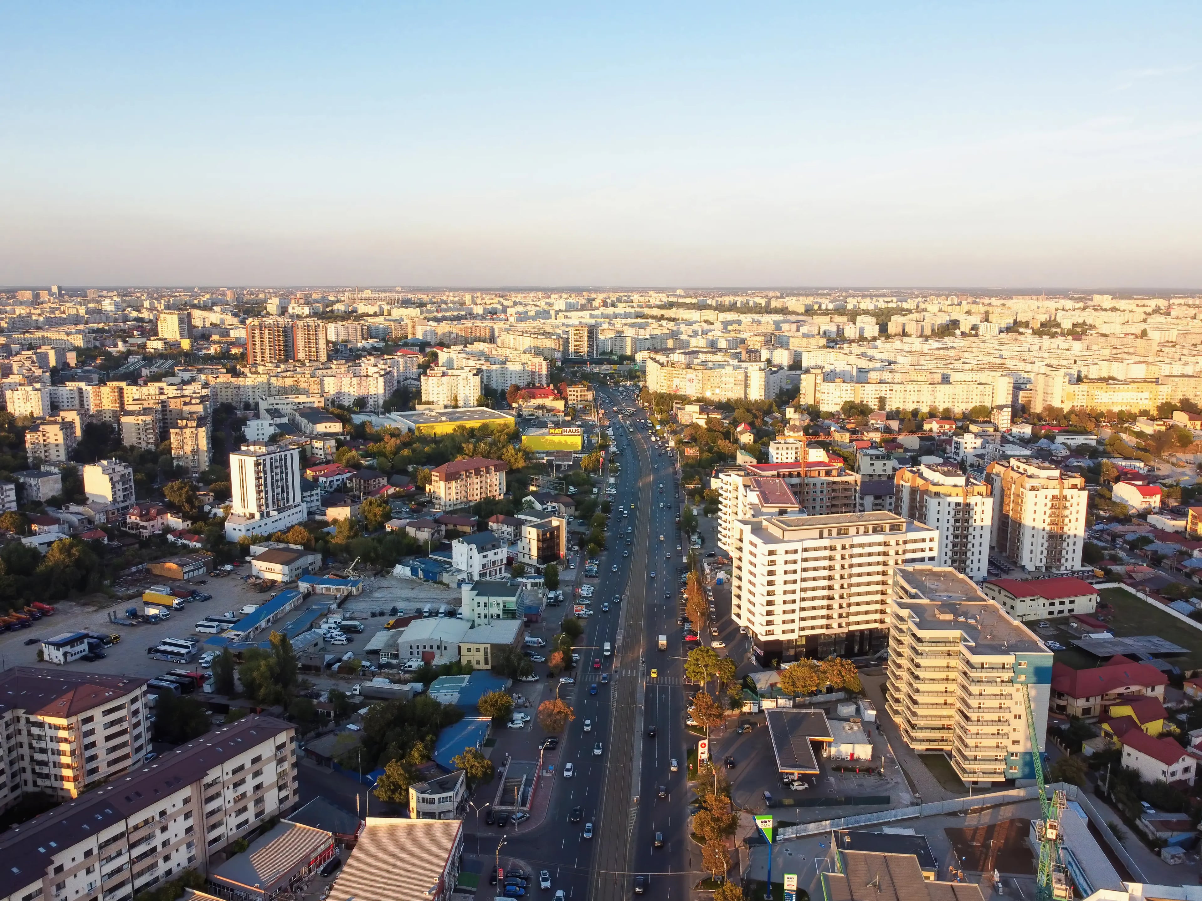 City Tours safari experience