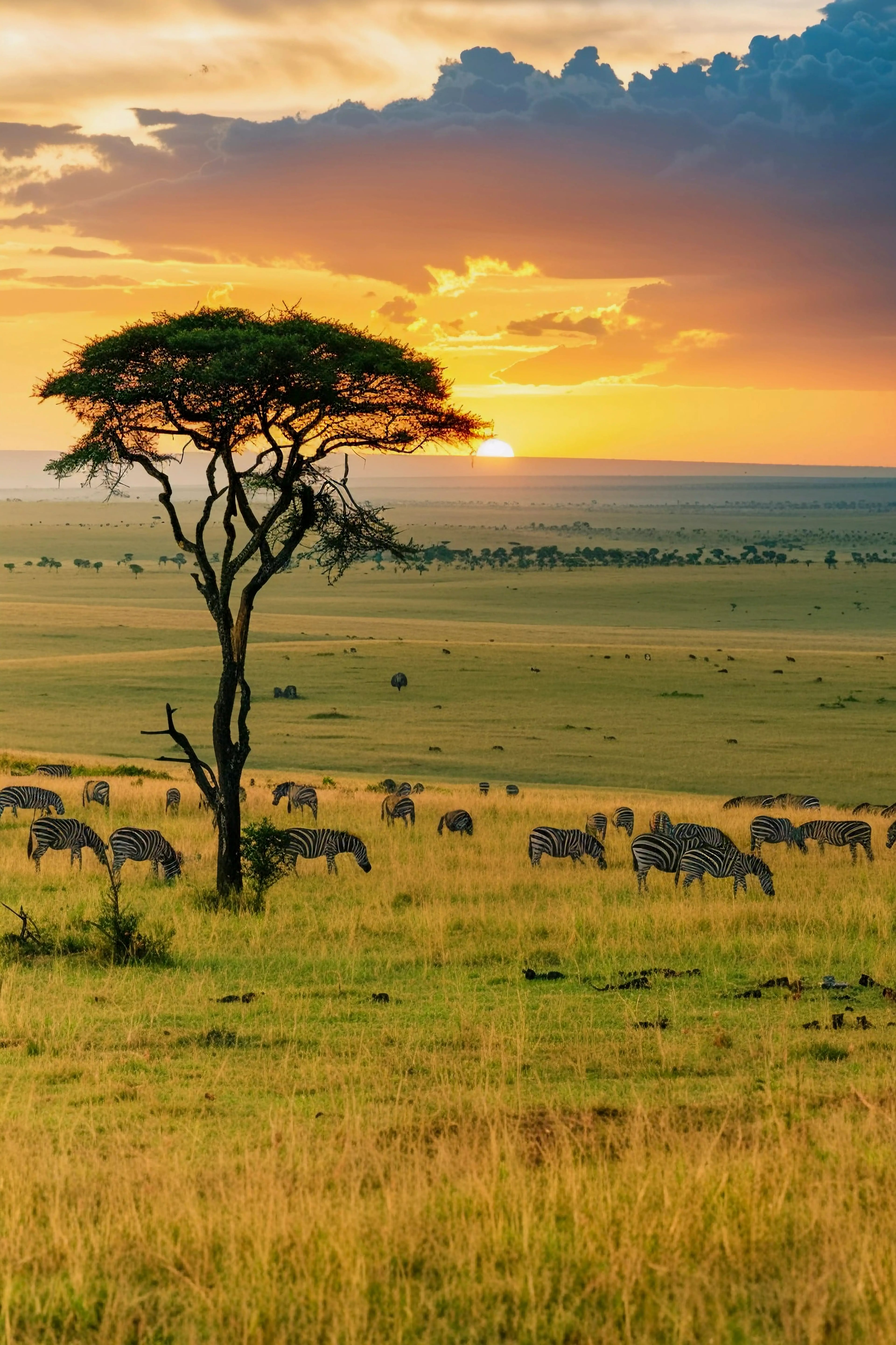 Masai Mara Safari - 4 Days tour in Kenya