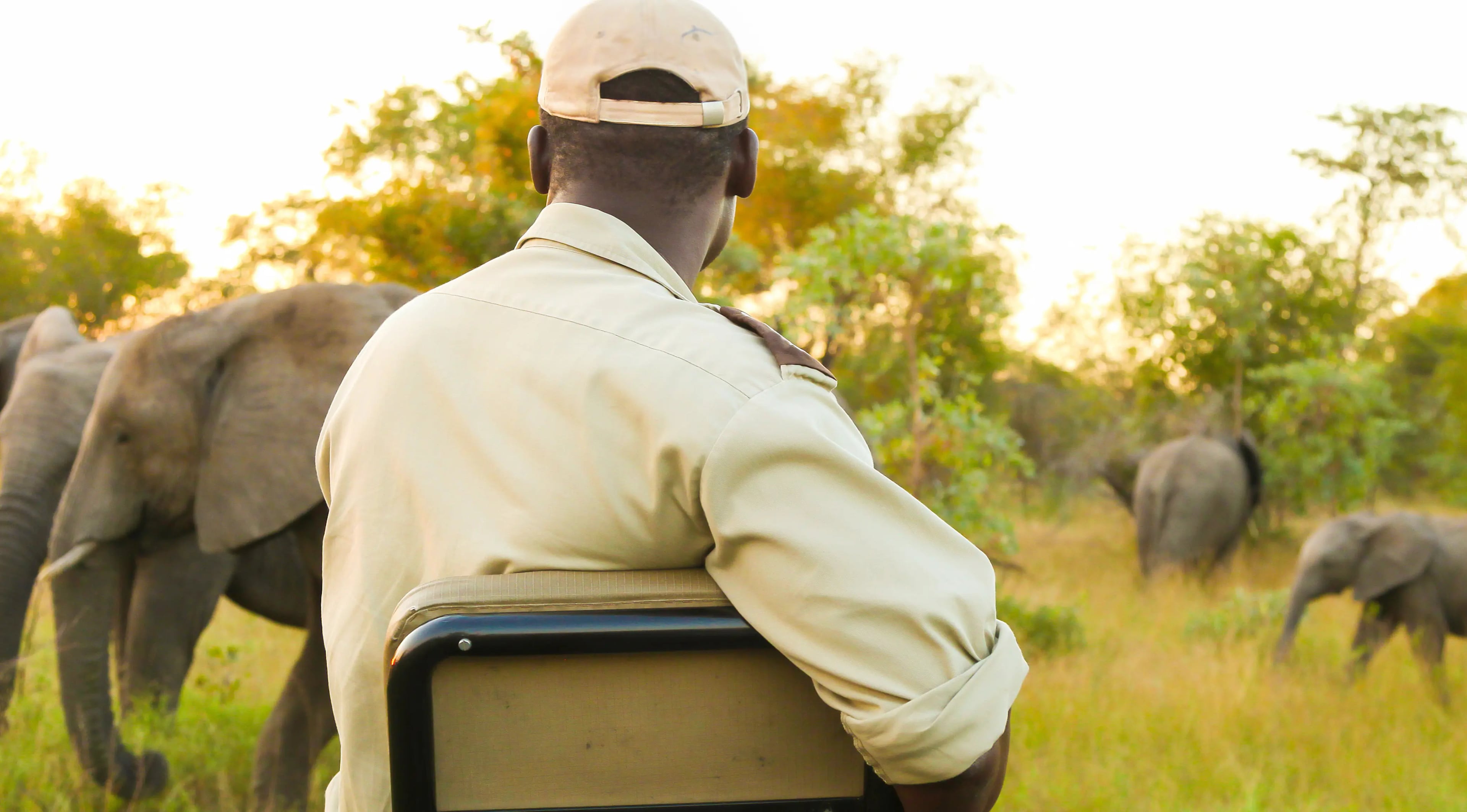 Wildlife Safaris safari experience